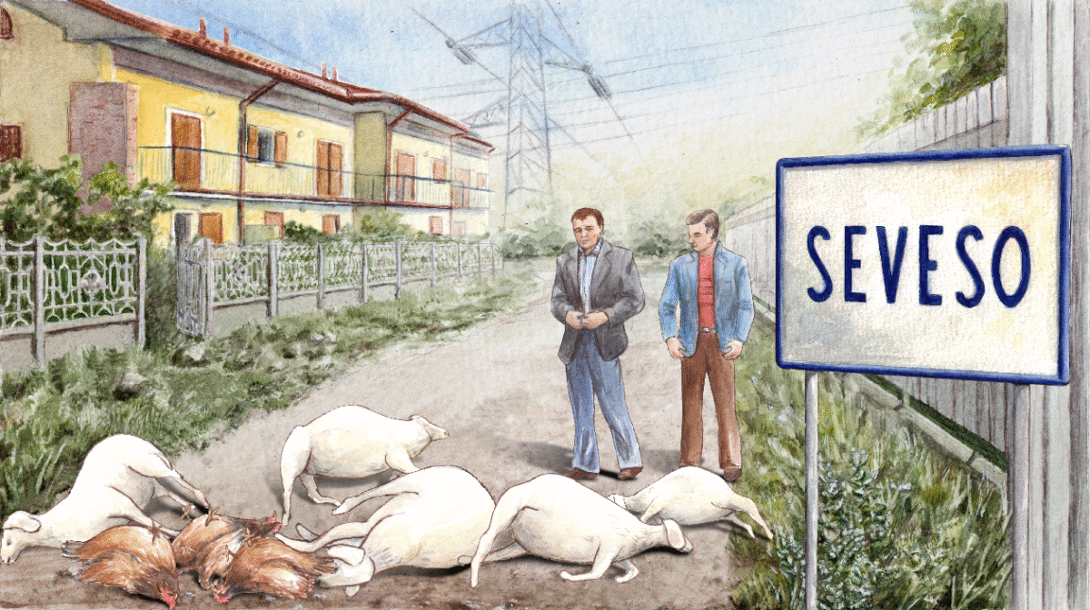 13 strada animale morte